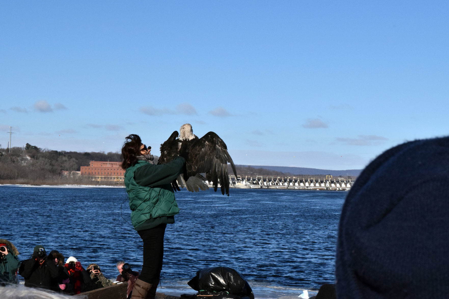 012019-sauk-gallery-eagle015